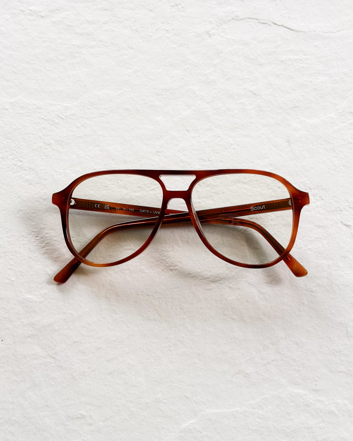 SCOUT Chestnut Blue Light