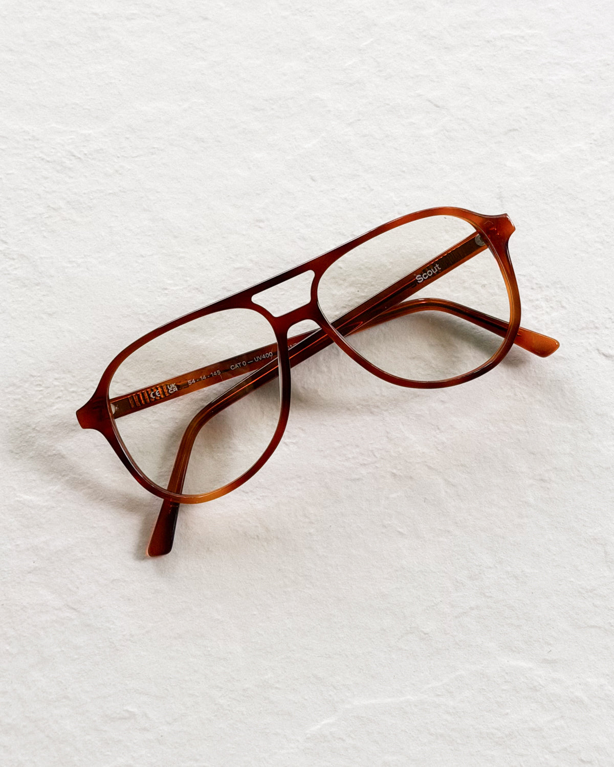 SCOUT Chestnut Blue Light