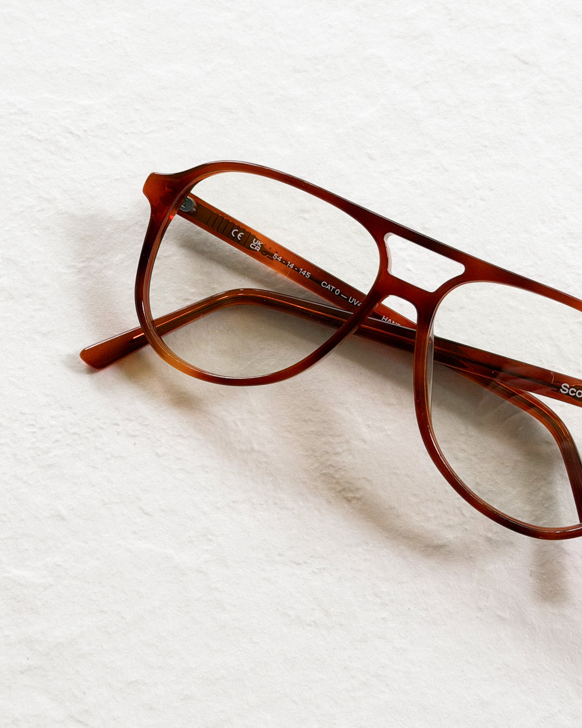 SCOUT Chestnut Blue Light