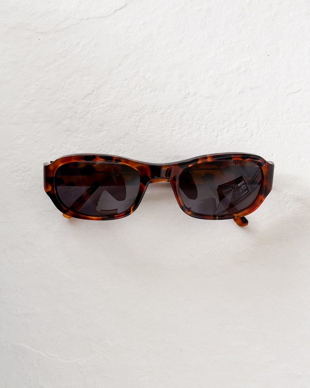 JORDYN Tortoise