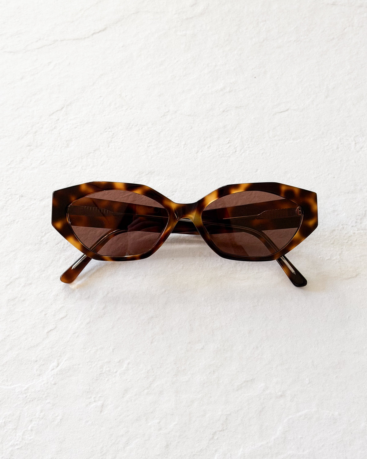 ELIANA Tortoise