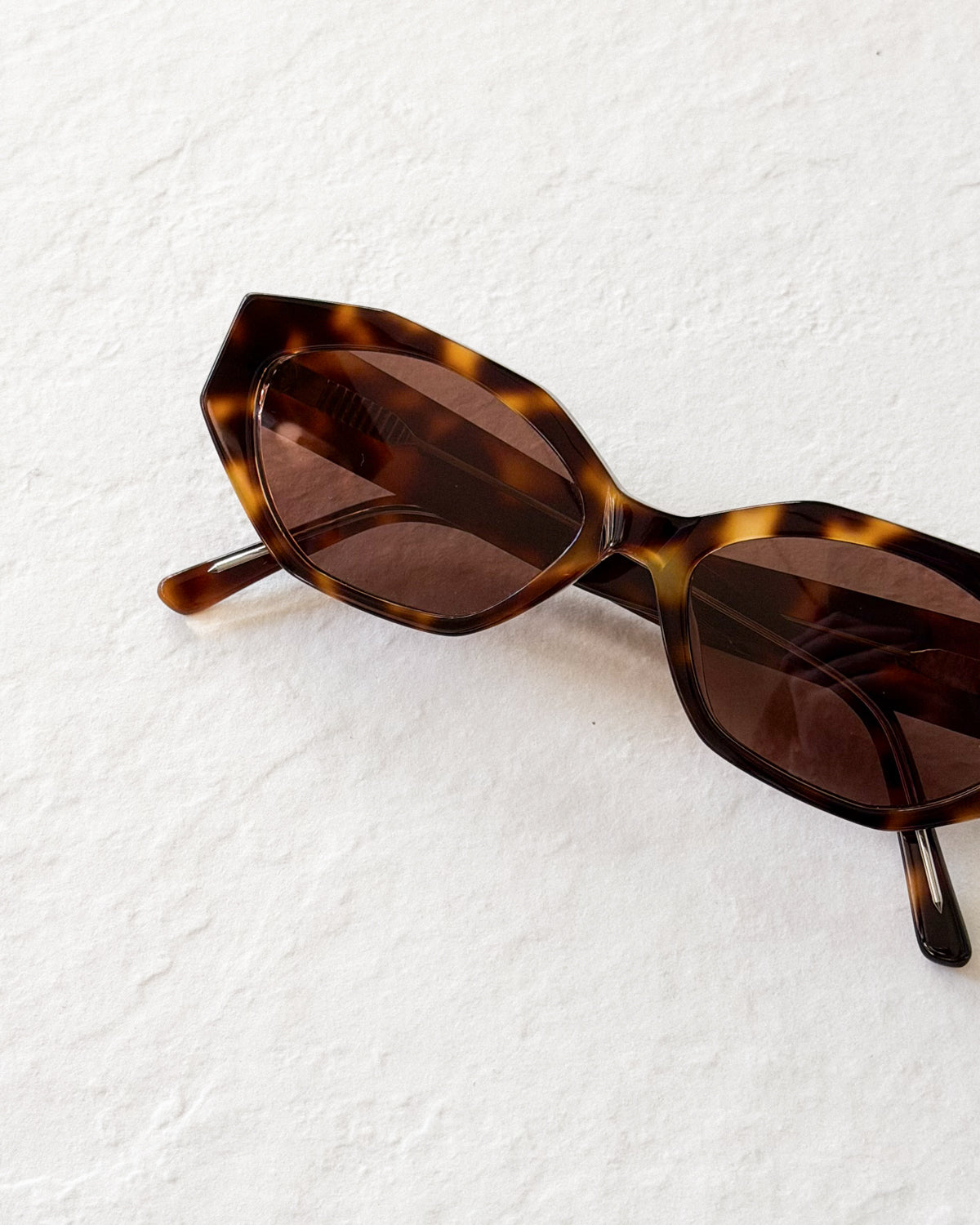 ELIANA Tortoise
