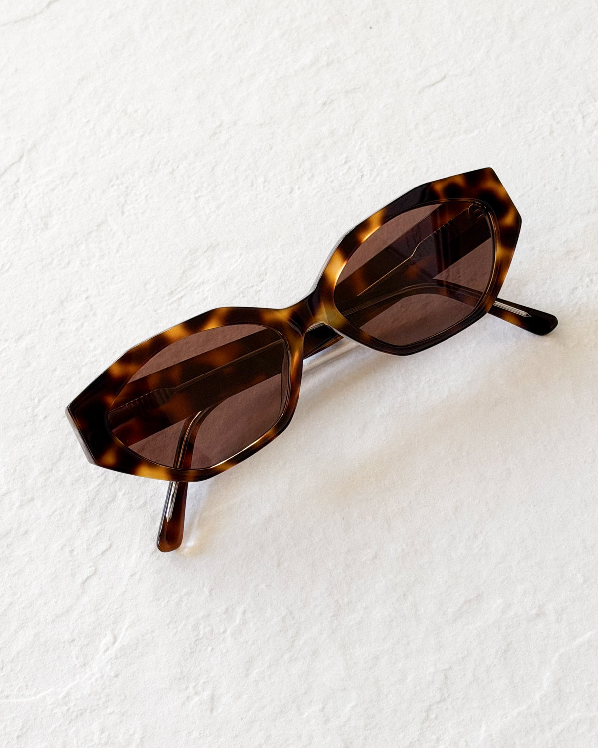 ELIANA Tortoise